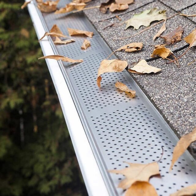 Faytrim-Facebook (79)